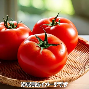 茨城县产西红柿（示意）