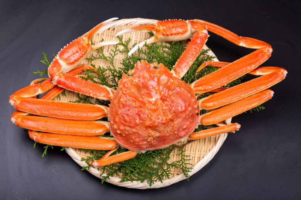 姿ガニのイメージ