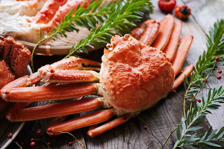 ズワイガニの盛り付けイメージ