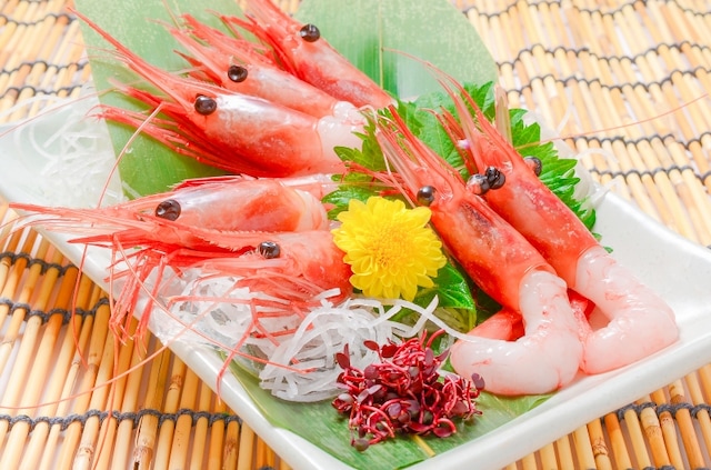 甘エビのお刺身盛り付け