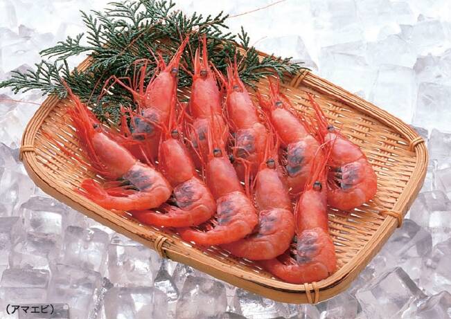 氷と甘エビの鮮度イメージ