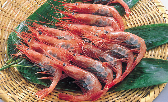 送料無料 甘エビ 甘海老 1kg 90〜120尾前後 Sサイズ 楽天最安値へ挑戦！船上冷凍で鮮度抜群 甘海老