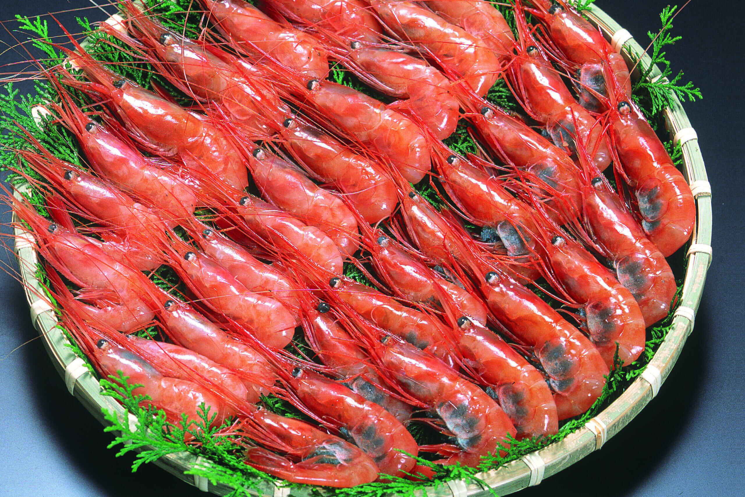 たっぷり1kgの甘エビイメージ